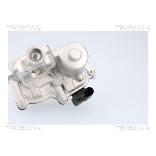 TRISCAN AGR-Ventil 8813 29116