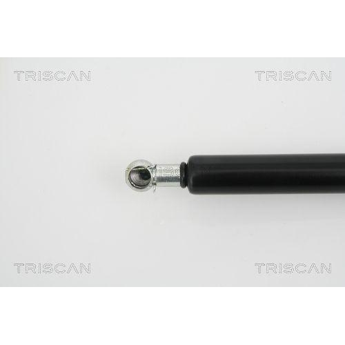 TRISCAN Gasfeder, Koffer-/Laderaum 8710 25228