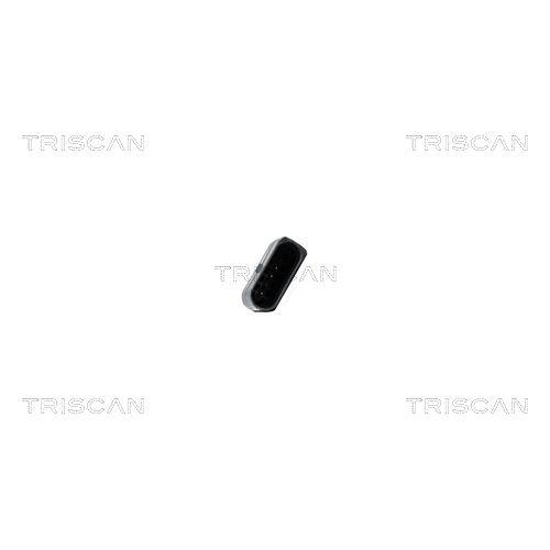 TRISCAN AGR-Ventil 8813 29117