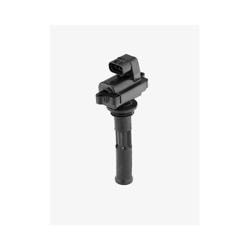 BorgWarner (BERU) Z&uuml;ndspule ZS549