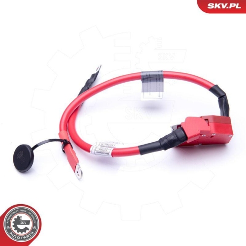 ESEN SKV Batterieadapter 96SKV303