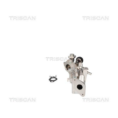 TRISCAN K&uuml;hler, Abgasr&uuml;ckf&uuml;hrung 8813 11024