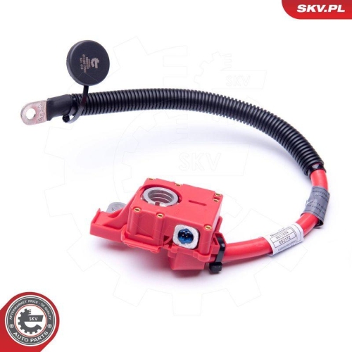 ESEN SKV Batterieadapter 96SKV304