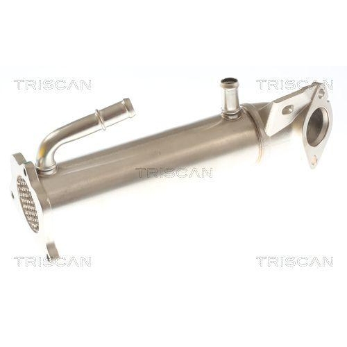 TRISCAN K&uuml;hler, Abgasr&uuml;ckf&uuml;hrung 8813 16117