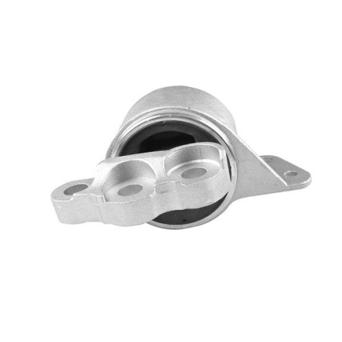 TEDGUM Lagerung, Motor TED53585