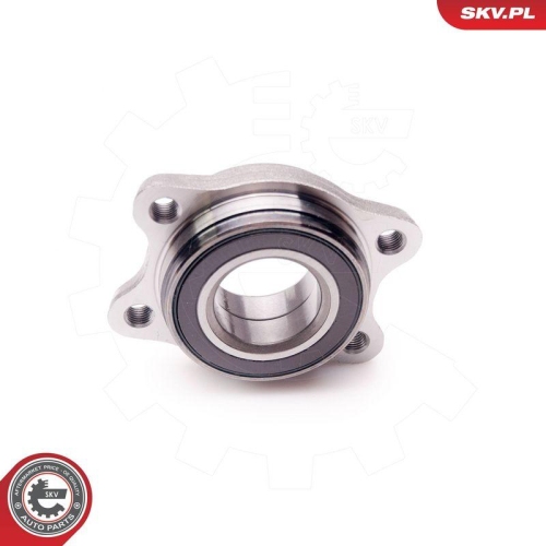 ESEN SKV Radlagersatz 29SKV098