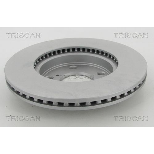 TRISCAN Bremsscheibe COATED 8120 131001C