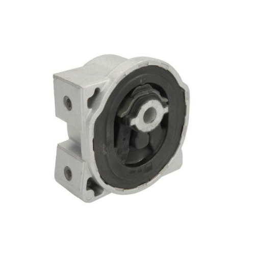 REINHOCH Lagerung, Motor RH11-3039