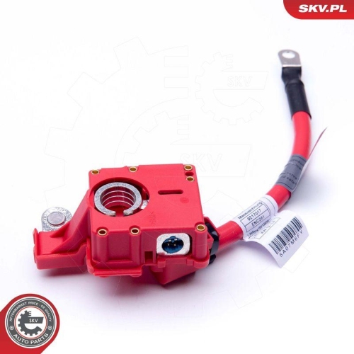 ESEN SKV Batterieadapter 96SKV309