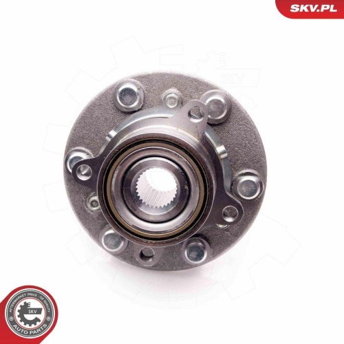 ESEN SKV Radlagersatz 29SKV100