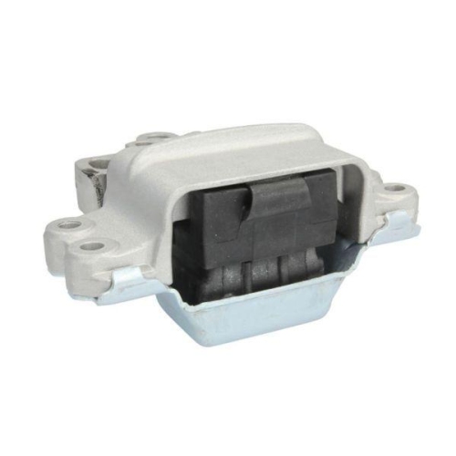 REINHOCH Lagerung, Motor RH11-0036