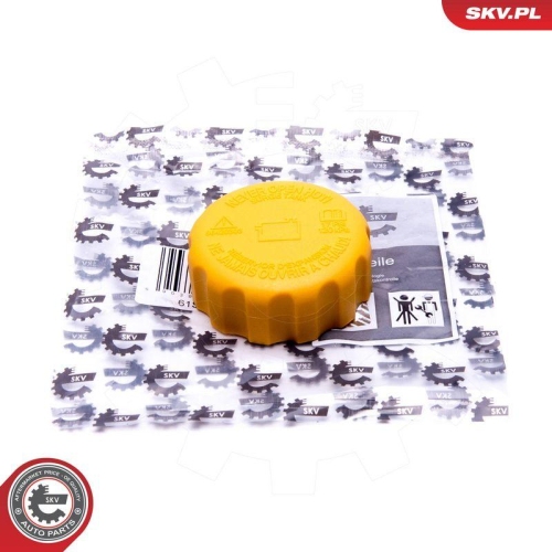 ESEN SKV Verschlussdeckel, K&uuml;hlmittelbeh&auml;lter 61SKV021