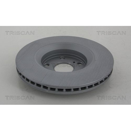 TRISCAN Bremsscheibe COATED 8120 131005C