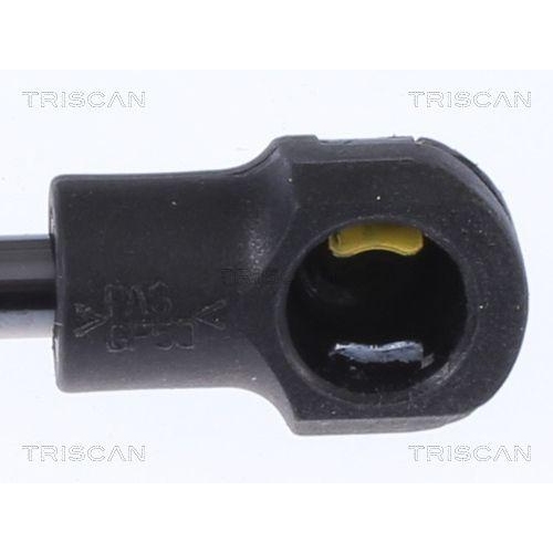 TRISCAN Gasfeder, Koffer-/Laderaum 8710 292055