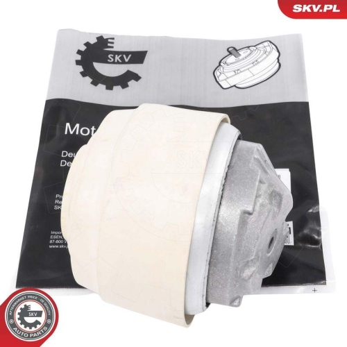 ESEN SKV Lagerung, Motor 75SKV001