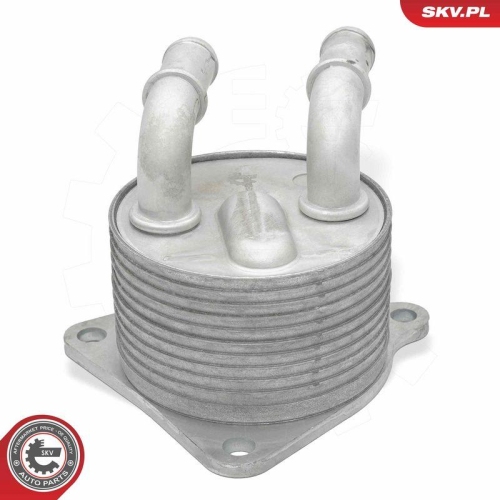 ESEN SKV &Ouml;lk&uuml;hler, Motor&ouml;l 31SKV374