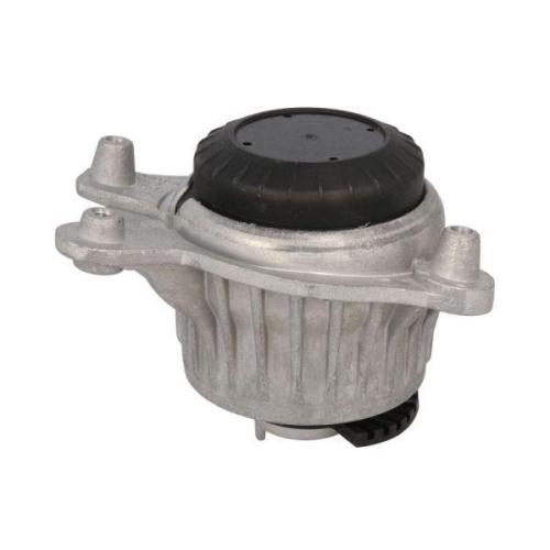 REINHOCH Lagerung, Motor RH11-3106