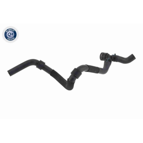 VAICO K&uuml;hlerschlauch Q+, Erstausr&uuml;sterqualit&auml;t V10-6913