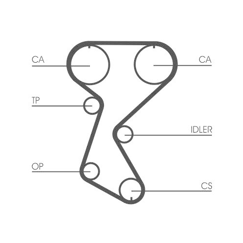 CONTINENTAL CTAM Zahnriemen CT760
