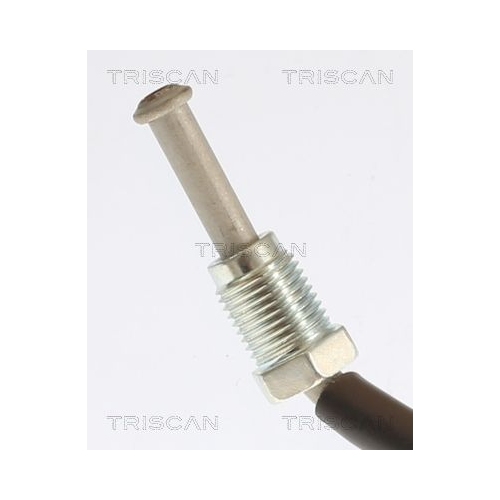 TRISCAN Bremsschlauch 8150 432020