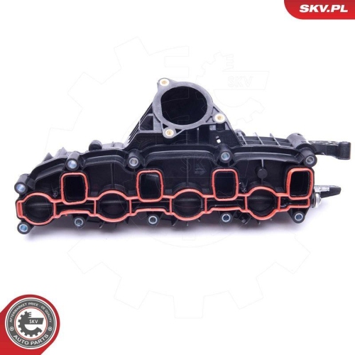 ESEN SKV Saugrohrmodul 49SKV007