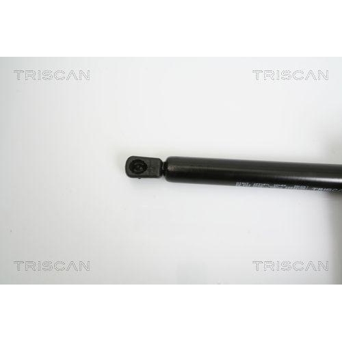 TRISCAN Gasfeder, Koffer-/Laderaum
