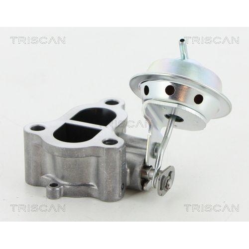 TRISCAN AGR-Ventil 8813 13065