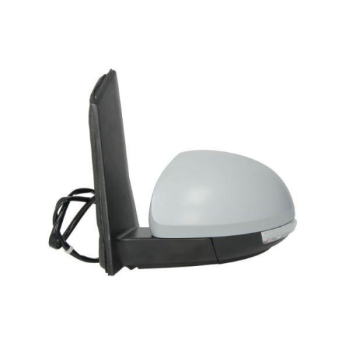 BLIC Außenspiegel 5402-10-2002261P