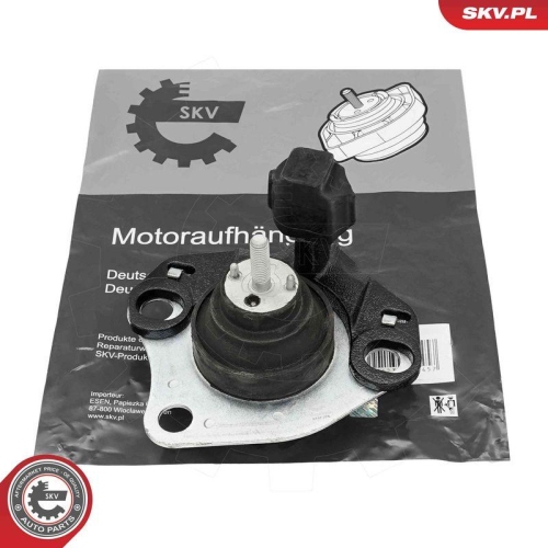 ESEN SKV Lagerung, Motor 75SKV019