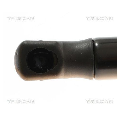 TRISCAN Gasfeder, Koffer-/Laderaum 8710 27312