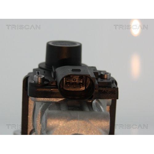 TRISCAN AGR-Ventil 8813 29002