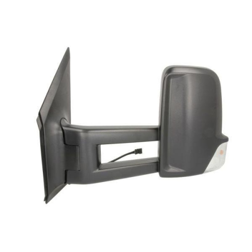 BLIC Außenspiegel 5402-02-0206591P