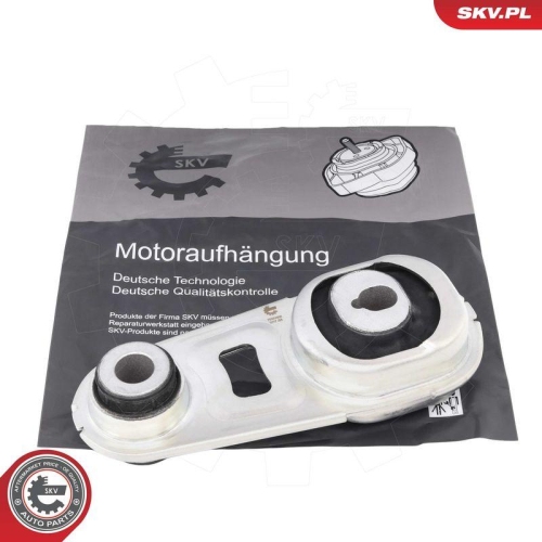 ESEN SKV Lagerung, Motor 75SKV030