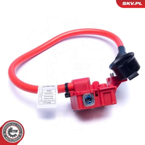 ESEN SKV Batterieadapter 96SKV311