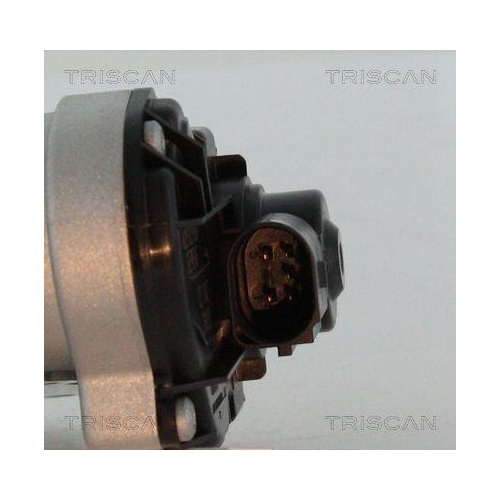 TRISCAN AGR-Ventil 8813 29028