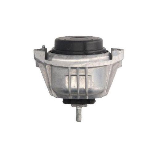 REINHOCH Lagerung, Motor RH11-3025