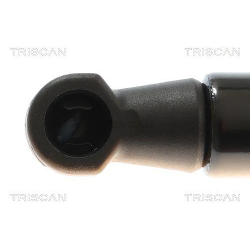 TRISCAN Gasfeder, Koffer-/Laderaum 8710 43306