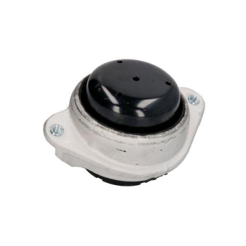 REINHOCH Lagerung, Motor RH11-3042