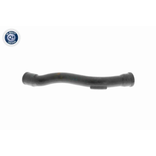 VAICO Schlauch, Kurbelgehäuseentlüftung Q+, Erstausrüsterqualität V10-2938