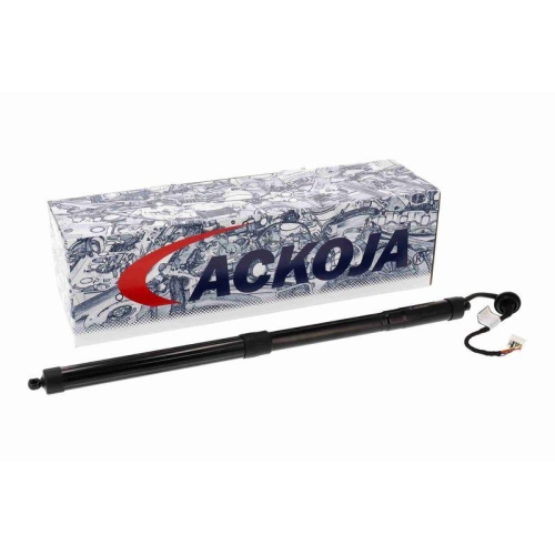 ACKOJA Elektromotor, Heckklappe Green Mobility Parts A38-55-0004
