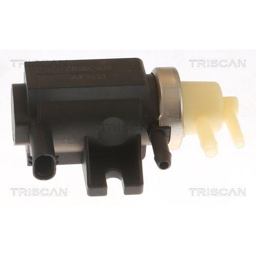 TRISCAN Druckwandler, Abgassteuerung