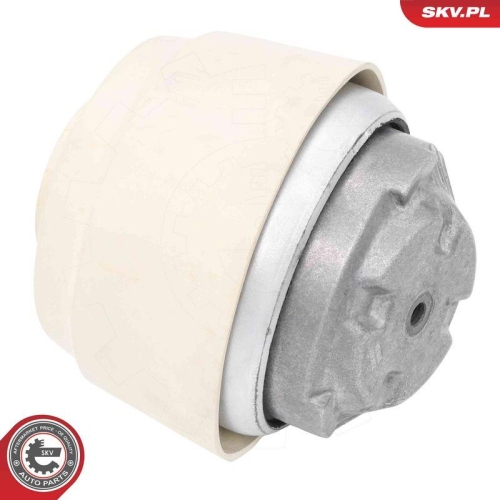 ESEN SKV Lagerung, Motor