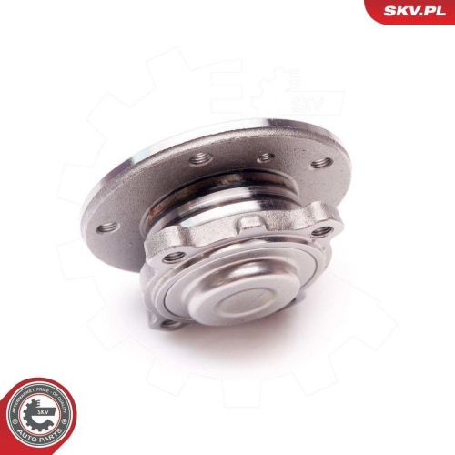 ESEN SKV Radlagersatz 29SKV117