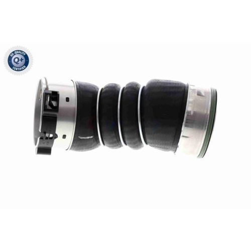 VAICO Ladeluftschlauch Q+, Erstausrüsterqualität V20-3656