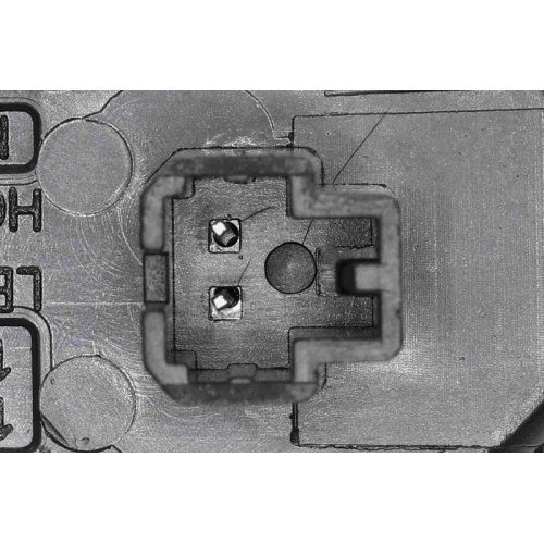 VEMO Kennzeichenleuchte Original VEMO Qualität