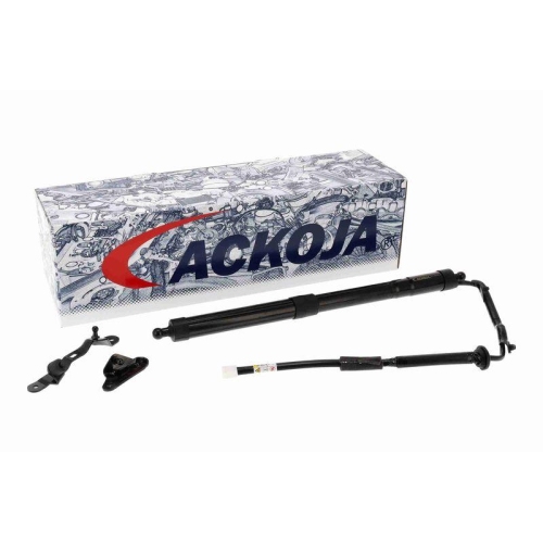 ACKOJA Elektromotor, Heckklappe Green Mobility Parts A70-55-0010