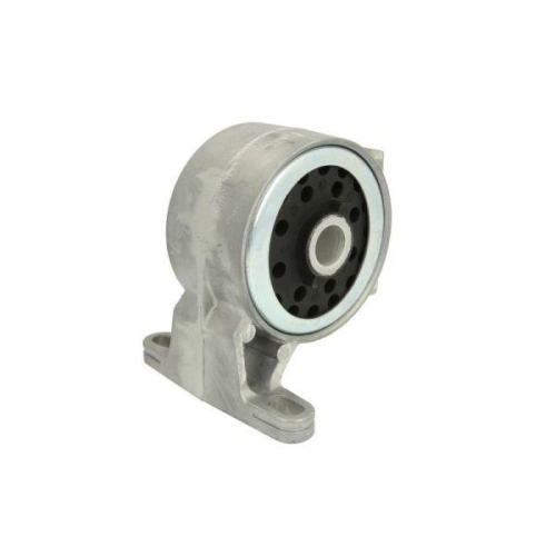 REINHOCH Lagerung, Motor RH12-4000