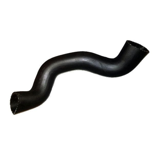 BUGIAD Ladeluftschlauch 88717