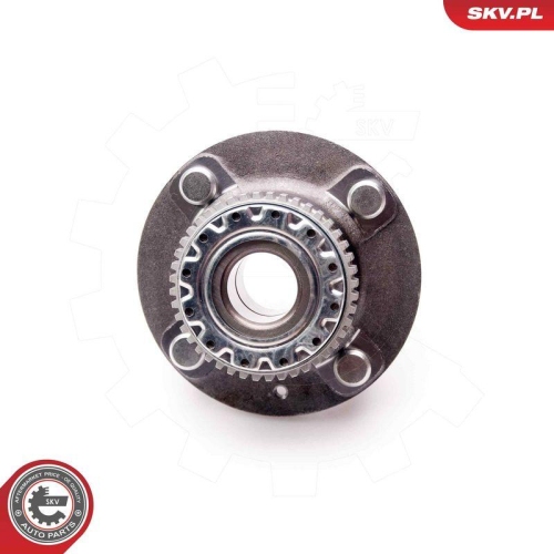 ESEN SKV Radlagersatz 29SKV119