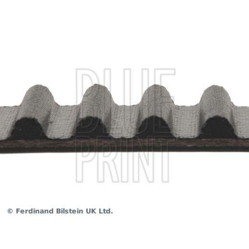 BLUE PRINT Zahnriemen ADA107504